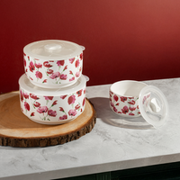 TAKISSO Bowls Food Storage Bowl with Lids (300ml, 600ml & 1000ml)
