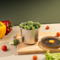 TAKISSO Premium Thermal Lock Stainless Steel Lunch Box Set of 1 (530ml)